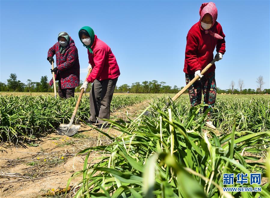 （新華全媒頭條·圖文互動(dòng)）（17）從人民中汲取磅礴力量——習(xí)近平總書記同出席2020年全國(guó)兩會(huì)人大代表、政協(xié)委員共商國(guó)是紀(jì)實(shí)