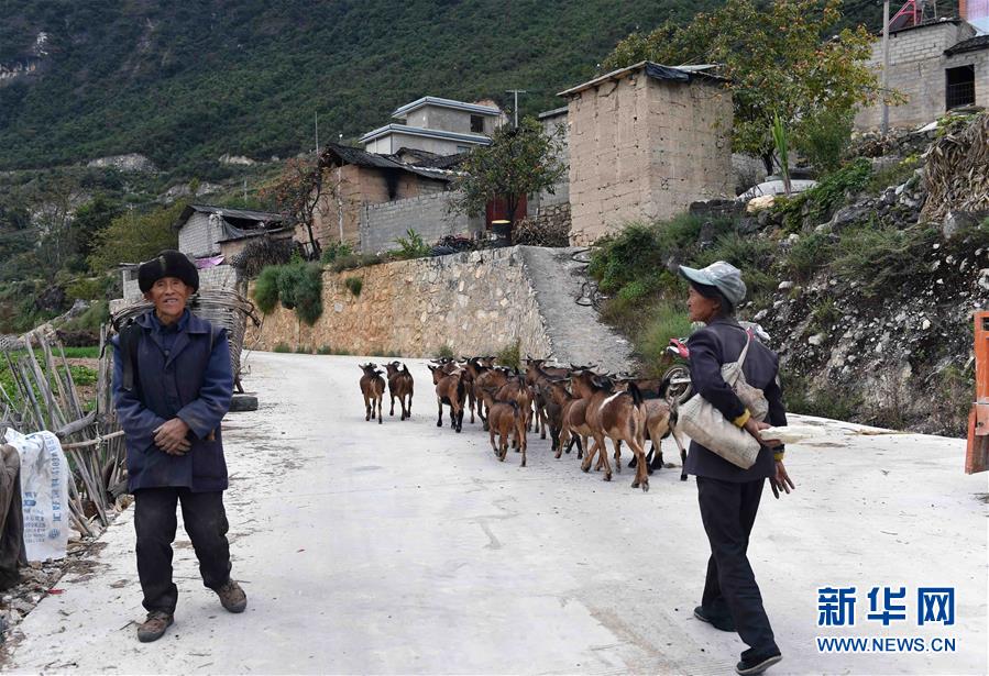 （壯麗70年·奮斗新時代）（15）我們走在大路上