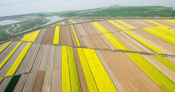 航拍武漢大地春色 神秘圖案引人遐想