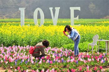 春暖花開迎客來(lái)