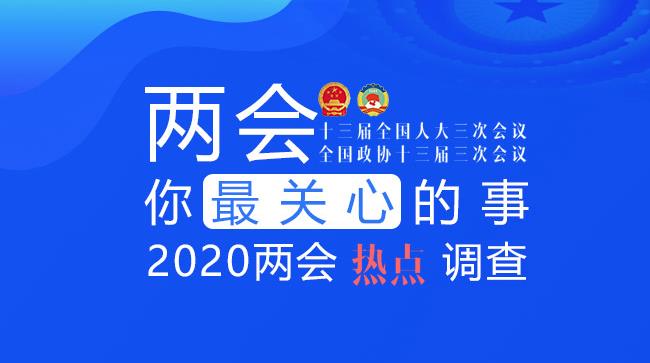 2020年兩會熱點調(diào)查