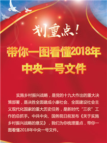 劃重點！帶你一圖看懂2018年中央一號文件