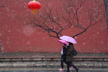 北京迎來(lái)春雪