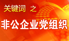 王京清：非公企業(yè)建立黨組織服務(wù)企業(yè)發(fā)展、服務(wù)員工