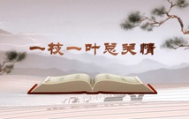 《平“語(yǔ)”近人——習(xí)近平總書(shū)記用典》（第一集）一枝一葉總關(guān)情