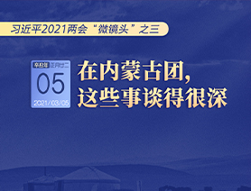 習(xí)近平2021兩會“微鏡頭”之三 3月5日 在內(nèi)蒙古團，這些事談得很深