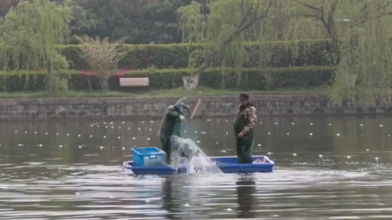 別人家的學校！安師大請師生吃一萬斤魚