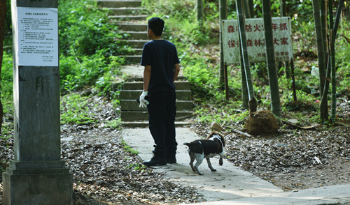 杭州野生動物世界三只金錢豹外逃：多支力量全力搜尋第三只出逃金錢豹