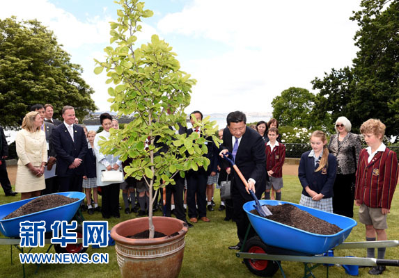 11月18日，國家主席習近平在澳大利亞塔斯馬尼亞州與朗塞斯頓市斯科奇－歐克伯恩小學的小學生共同植樹。新華社記者 饒愛民 攝