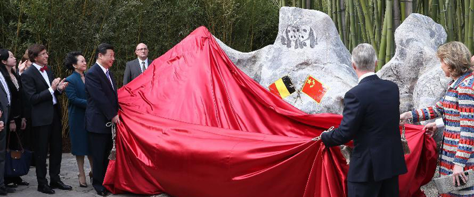 習近平和比利時國王菲利普共同出席大熊貓園開園儀式