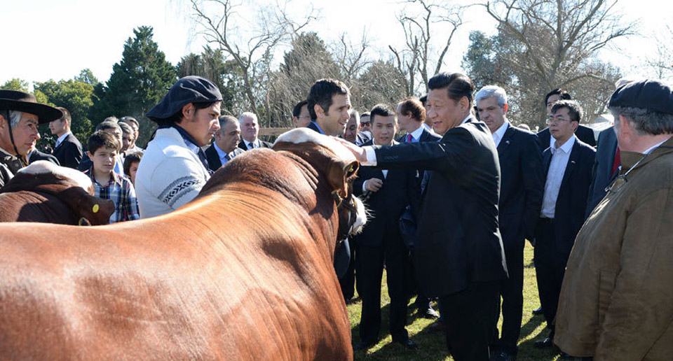 [資料圖片]習(xí)近平參觀阿根廷共和國莊園