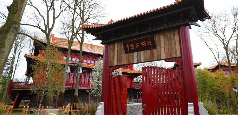 荷蘭動物園熱盼中國大熊貓